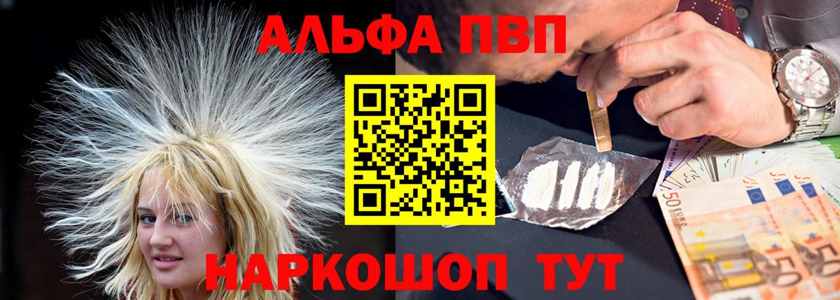 Альфа ПВП СК КРИС Гулькевичи